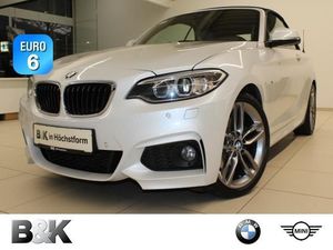 BMW 220 d Cabrio M Sportpaket Navi Xenon Leder PDC (Klima